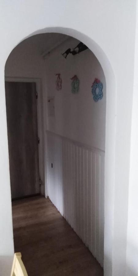 Na Cervene Louce Apartman Cheb Exterior photo