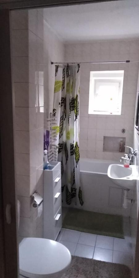 Na Cervene Louce Apartman Cheb Exterior photo